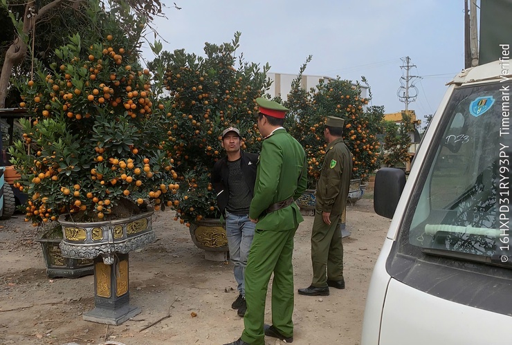 Công an xã Phú Nghĩa tăng cường tuyên truyền, đảm bảo an ninh trật tự tại Chợ hoa xuân 2026- Ảnh 2.