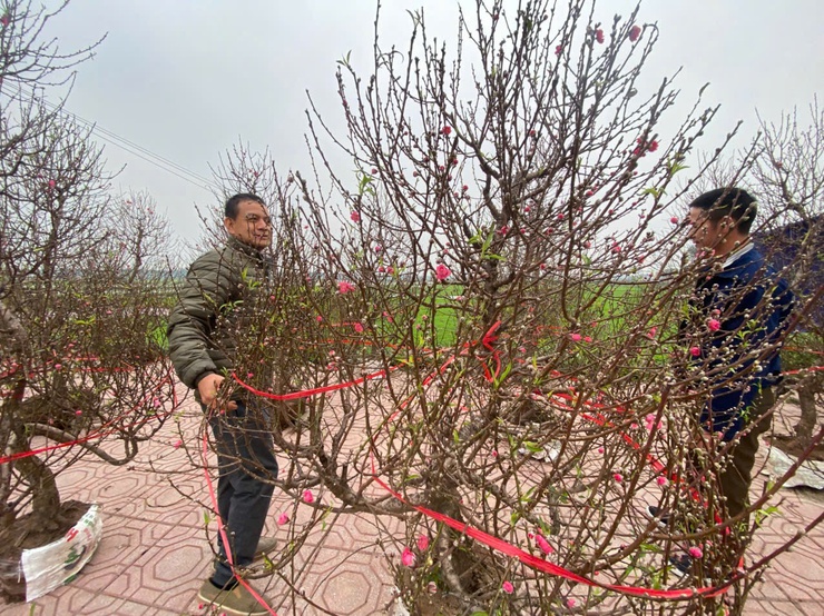 Bí thư Đảng ủy, Chủ tịch HĐND xã Bùi Văn Sáng kiểm tra công tác tổ chức Hội chợ hoa Xuân Bính Ngọ 2026- Ảnh 9.