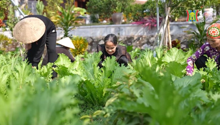 Những người cao tuổi thầm lặng quét dọn, bảo vệ giá trị Đình Vân Cốc- Ảnh 5.