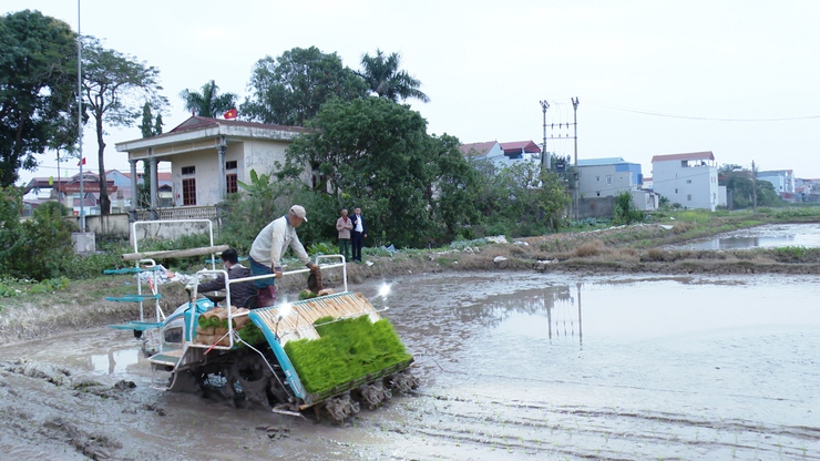 HỘI CỰU CHIẾN BINH XÃ ỨNG HÒA ĐẨY MẠNH ỨNG DỤNG CƠ GIỚI HÓA TRONG SẢN XUẤT NÔNG NGHIỆP.- Ảnh 2.
