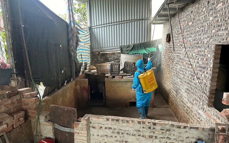 Phú Xuyên đồng loạt ra quân vệ sinh, tiêu độc khử trùng môi trường phòng chống dịch bệnh dịp Tết- Ảnh 4.