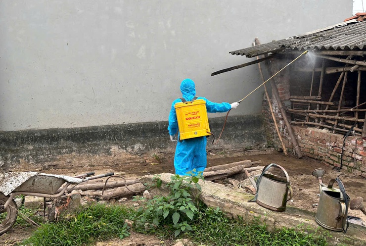 Phú Xuyên đồng loạt ra quân vệ sinh, tiêu độc khử trùng môi trường phòng chống dịch bệnh dịp Tết- Ảnh 5.