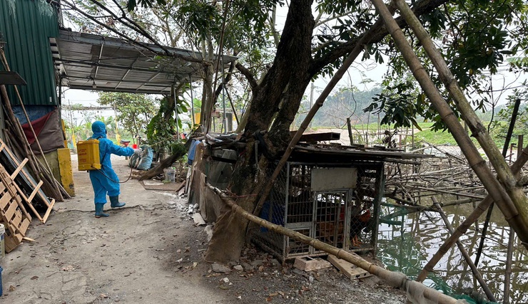 Phú Xuyên đồng loạt ra quân vệ sinh, tiêu độc khử trùng môi trường phòng chống dịch bệnh dịp Tết- Ảnh 6.