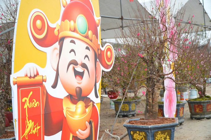  CHỢ HOA XUÂN BÍNH NGỌ 2026 – ĐIỂM HẸN RỘN RÀNG SẮC TẾT TẠI XÃ DÂN HÒA - Ảnh 3.