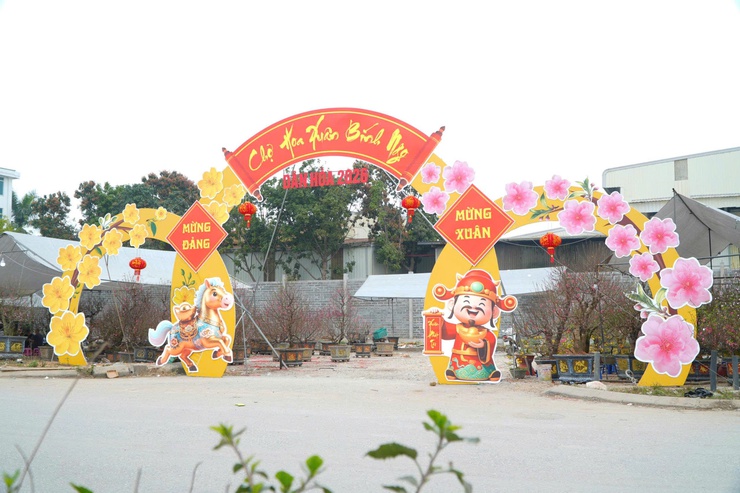  CHỢ HOA XUÂN BÍNH NGỌ 2026 – ĐIỂM HẸN RỘN RÀNG SẮC TẾT TẠI XÃ DÂN HÒA - Ảnh 2.