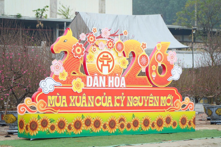  CHỢ HOA XUÂN BÍNH NGỌ 2026 – ĐIỂM HẸN RỘN RÀNG SẮC TẾT TẠI XÃ DÂN HÒA - Ảnh 1.