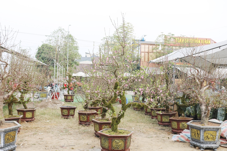 QUỐC OAI RỘN RÀNG HỘI CHỢ HOA XUÂN – CHỢ TẾT NHỮNG NGÀY GIÁP TẾT BÍNH NGỌ 2026- Ảnh 11.