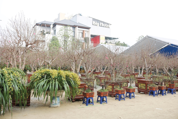 QUỐC OAI RỘN RÀNG HỘI CHỢ HOA XUÂN – CHỢ TẾT NHỮNG NGÀY GIÁP TẾT BÍNH NGỌ 2026- Ảnh 13.