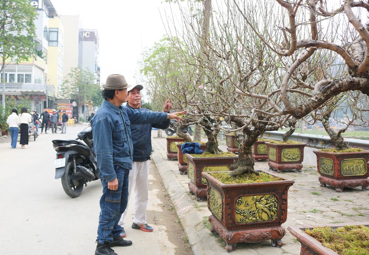 QUỐC OAI RỘN RÀNG HỘI CHỢ HOA XUÂN – CHỢ TẾT NHỮNG NGÀY GIÁP TẾT BÍNH NGỌ 2026- Ảnh 15.