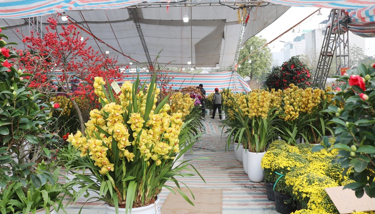 QUỐC OAI RỘN RÀNG HỘI CHỢ HOA XUÂN – CHỢ TẾT NHỮNG NGÀY GIÁP TẾT BÍNH NGỌ 2026- Ảnh 2.