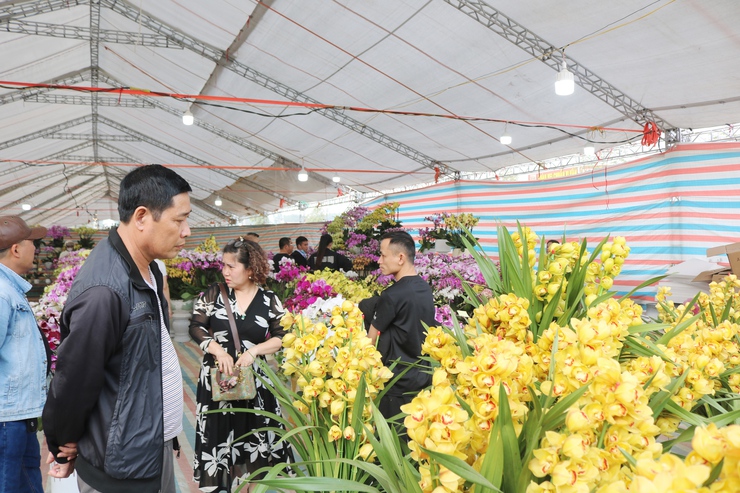 QUỐC OAI RỘN RÀNG HỘI CHỢ HOA XUÂN – CHỢ TẾT NHỮNG NGÀY GIÁP TẾT BÍNH NGỌ 2026- Ảnh 4.