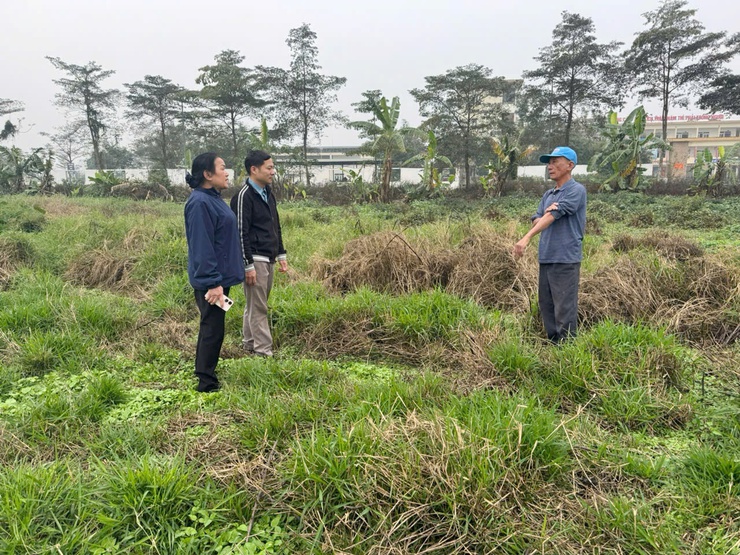  TỔ CHỨC CƯỠNG CHẾ KIỂM ĐẾM BẮT BUỘC PHỤC VỤ DỰ ÁN HẠ TẦNG KỸ THUẬT KHU ĐẤT ĐẤU GIÁ- Ảnh 2.