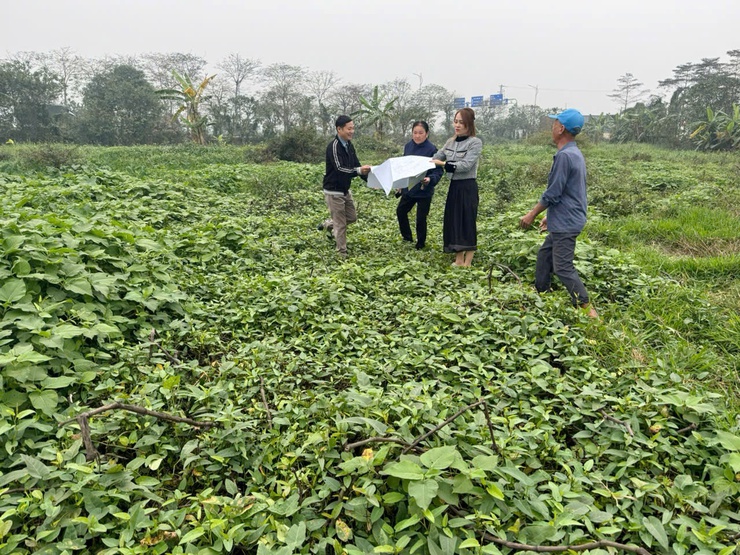  TỔ CHỨC CƯỠNG CHẾ KIỂM ĐẾM BẮT BUỘC PHỤC VỤ DỰ ÁN HẠ TẦNG KỸ THUẬT KHU ĐẤT ĐẤU GIÁ- Ảnh 3.