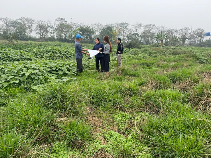  TỔ CHỨC CƯỠNG CHẾ KIỂM ĐẾM BẮT BUỘC PHỤC VỤ DỰ ÁN HẠ TẦNG KỸ THUẬT KHU ĐẤT ĐẤU GIÁ- Ảnh 4.