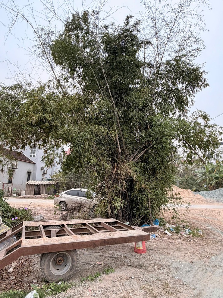 Xã Quốc Oai: Đối thoại thẳng thắn, tạo đồng thuận trong giải phóng mặt bằng dự án đấu giá đất thôn Khánh Tân- Ảnh 7.