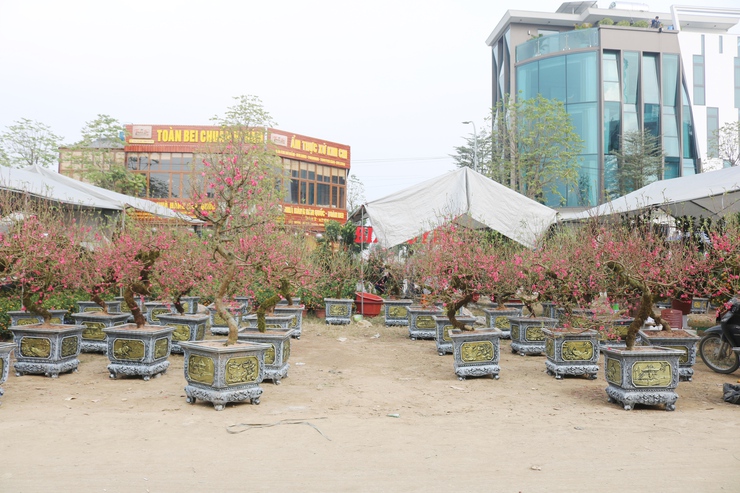 QUỐC OAI RỘN RÀNG HỘI CHỢ HOA XUÂN – CHỢ TẾT NHỮNG NGÀY GIÁP TẾT BÍNH NGỌ 2026- Ảnh 7.