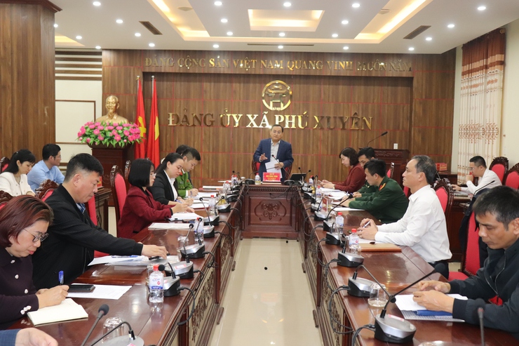 Xã Phú Xuyên: Triển khai Kế hoạch tổ chức hiệp đồng bắn pháo hoa đêm giao thừa Tết Nguyên đán Bính Ngọ- Ảnh 1.