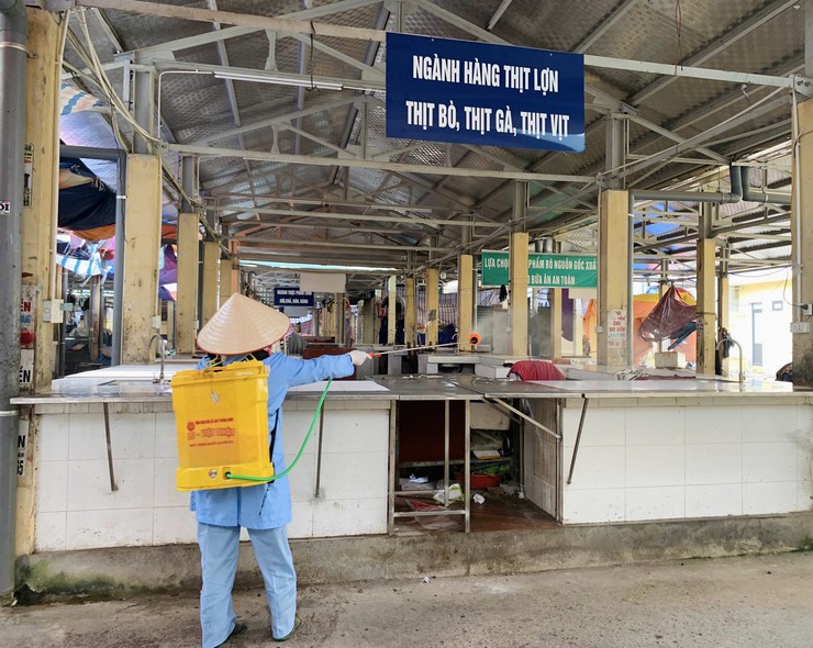 Trung tâm Dịch vụ tổng hợp xã triển khai phun thuốc sát trùng tại các hộ, trang trại chăn nuôi khu vực Vân Phúc, Nam Hà, Võng Xuyên- Ảnh 1.