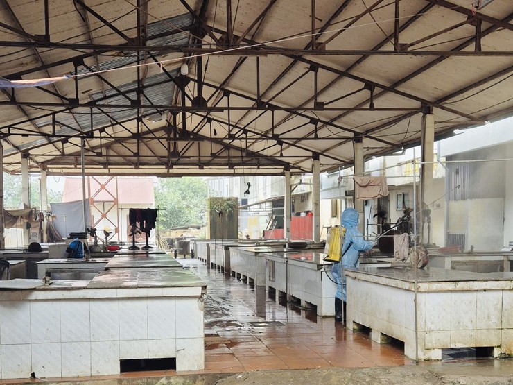 Trung tâm Dịch vụ tổng hợp xã triển khai phun thuốc sát trùng tại các hộ, trang trại chăn nuôi khu vực Vân Phúc, Nam Hà, Võng Xuyên- Ảnh 2.