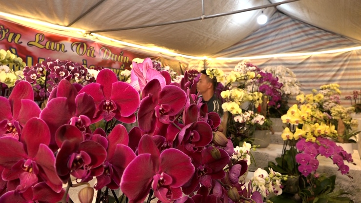 Chương trình nghệ thuật “ Sáng mãi niềm tin theo Đảng” chào mừng Tết Nguyên đán và khai mạc Chợ hoa xuân Bính Ngọ xã Mỹ Đức năm 2026- Ảnh 18.