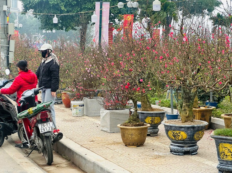 Những ngày chính Tết, thời tiết cả nước khả năng cao sẽ tạnh ráo và có nắng- Ảnh 1.