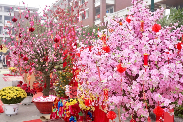 Trường THCS Kim Chung tổ chức chương trình "Xuân tình nguyện – Tết sẻ chia" năm 2026- Ảnh 10.