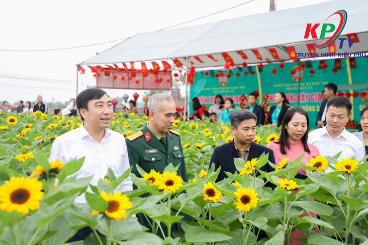 Hội nông dân xã Kiều Phú tổ chức trưng bày giới thiệu sản phẩm nông sản an toàn và trải nghiệm thực tế tại khu vực trồng hoa và rau an toàn - Ảnh 11.