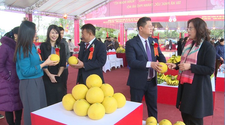 Chào Xuân Bính Ngọ 2026: Đình Vân Cốc sẵn sàng cho chuỗi hoạt động đầu năm- Ảnh 5.