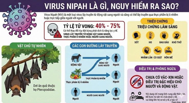 TỔNG QUAN VỀ VI RÚT NIPAH (NiV)- Ảnh 2.