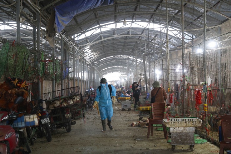 Chương Dương hoàn thành việc tổng vệ sinh, khử trùng môi trường phòng, chống dịch bệnh gia súc, gia cầm đợt 1 dịp Tết Nguyên đán Bính Ngọ 2026- Ảnh 1.