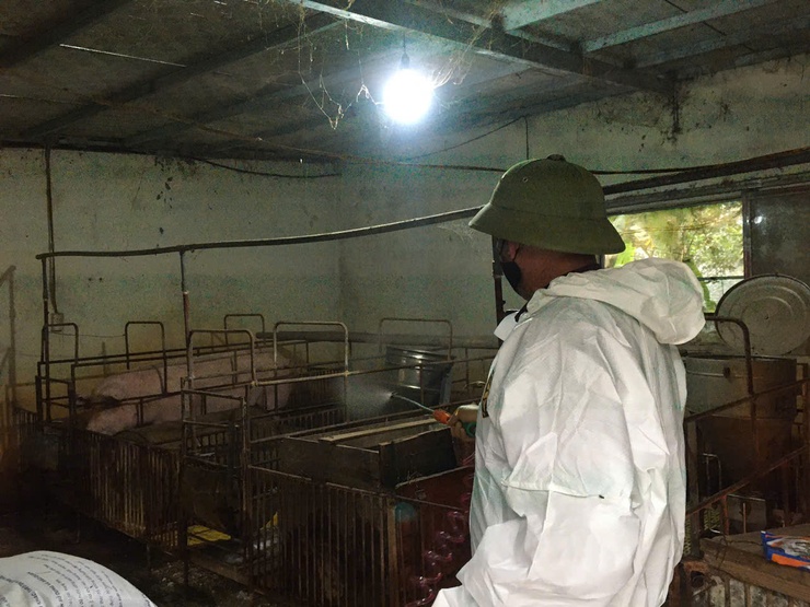 XÃ HÒA XÁ TRIỂN KHAI VỆ SINH, KHỬ TRÙNG, TIÊU ĐỘC MÔI TRƯỜNG PHÒNG, CHỐNG DỊCH BỆNH GIA SÚC, GIA CẦM DỊP TẾT NGUYÊN ĐÁN 2026- Ảnh 2.