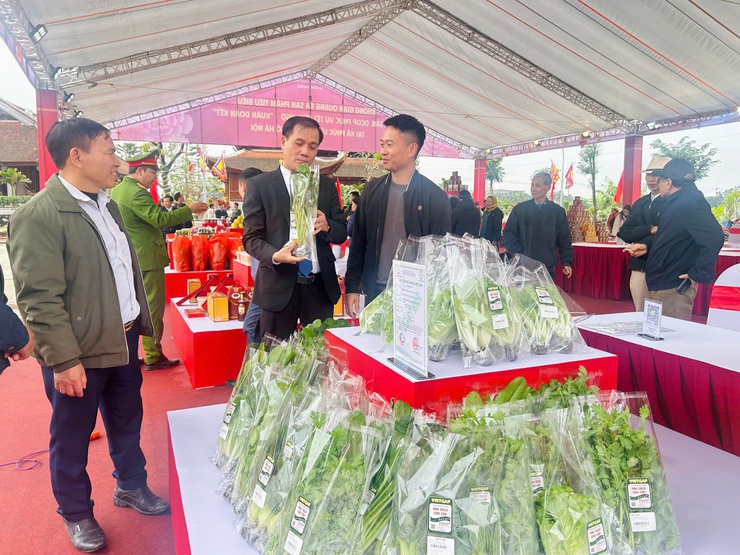 Chào Xuân Bính Ngọ 2026: Đình Vân Cốc sẵn sàng cho chuỗi hoạt động đầu năm- Ảnh 2.