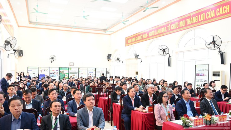 THÚC ĐẨY NÔNG NGHIỆP TUẦN HOÀN – GIẢI PHÁP GIẢM ÁP LỰC MÔI TRƯỜNG CHO KHU VỰC PHÍA NAM HÀ NỘI- Ảnh 2.