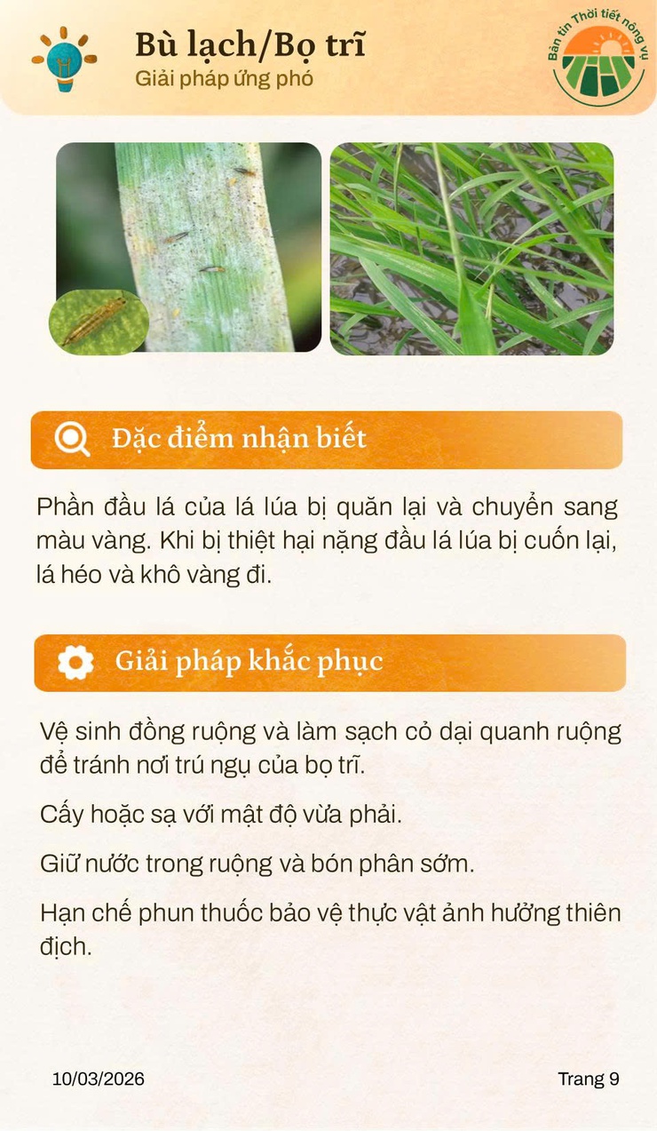 Thời tiết tháng 3 và những lưu ý trong sản xuất nông nghiệp- Ảnh 5.