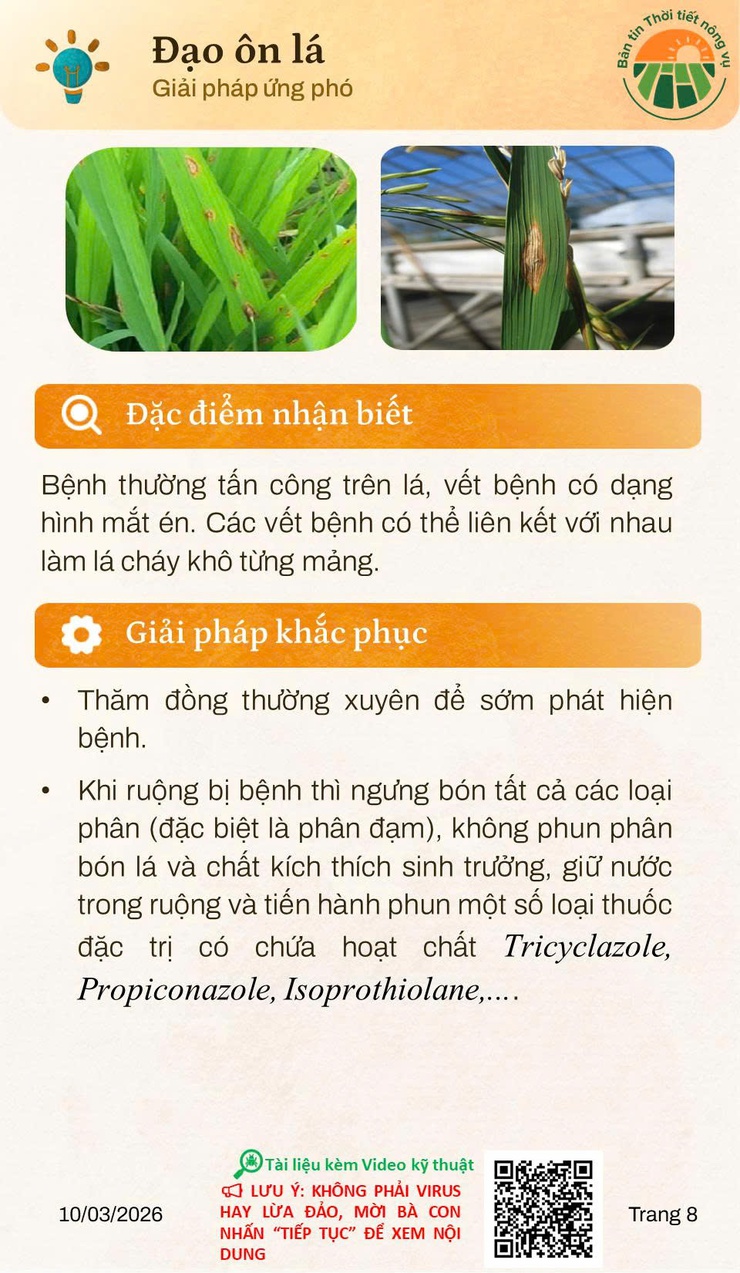 Thời tiết tháng 3 và những lưu ý trong sản xuất nông nghiệp- Ảnh 6.