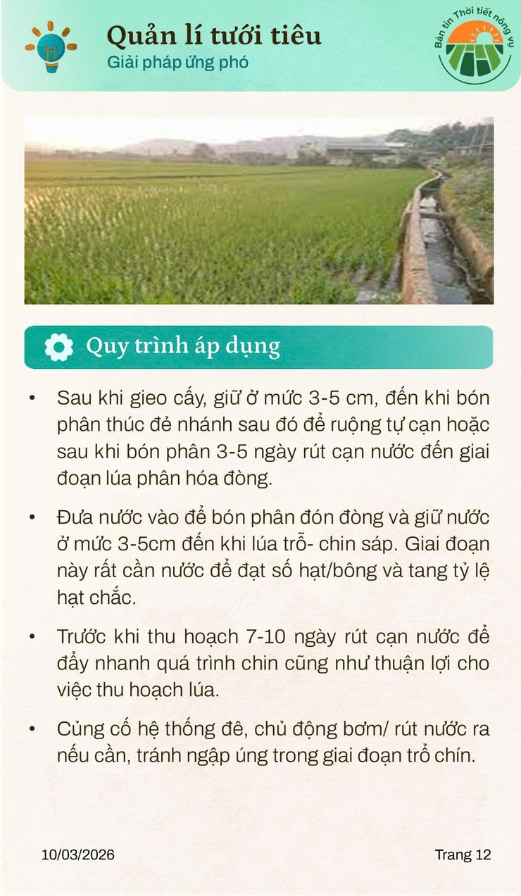 Thời tiết tháng 3 và những lưu ý trong sản xuất nông nghiệp- Ảnh 9.