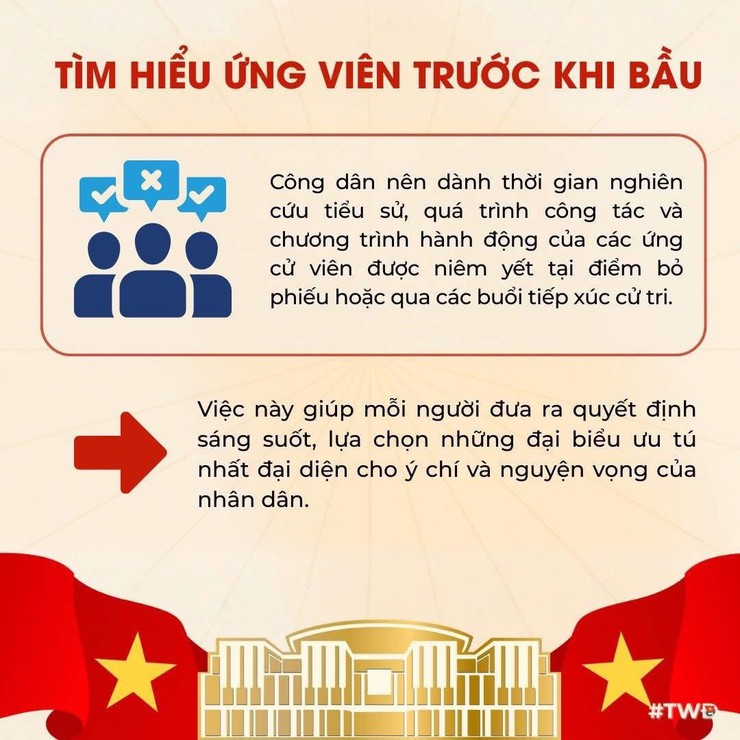 BẦU CỬ VÀ NHỮNG ĐIỀU CỬ TRI TRẺ CẦN BIẾT- Ảnh 2.
