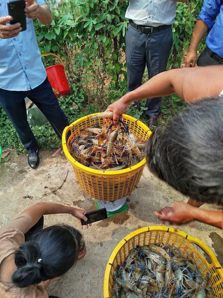 NÔNG DÂN XÃ TRUNG GIÃ MẠNH DẠN PHÁT TRIỀN MÔ HÌNH KINH TẾ TỔNG HỢP, THU NHẬP HÀNG TRĂM TRIỆU ĐỒNG - Ảnh 5.