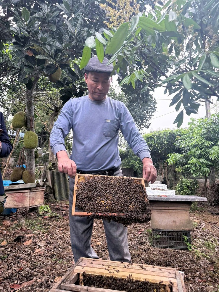 NÔNG DÂN XÃ TRUNG GIÃ MẠNH DẠN PHÁT TRIỀN MÔ HÌNH KINH TẾ TỔNG HỢP, THU NHẬP HÀNG TRĂM TRIỆU ĐỒNG - Ảnh 1.