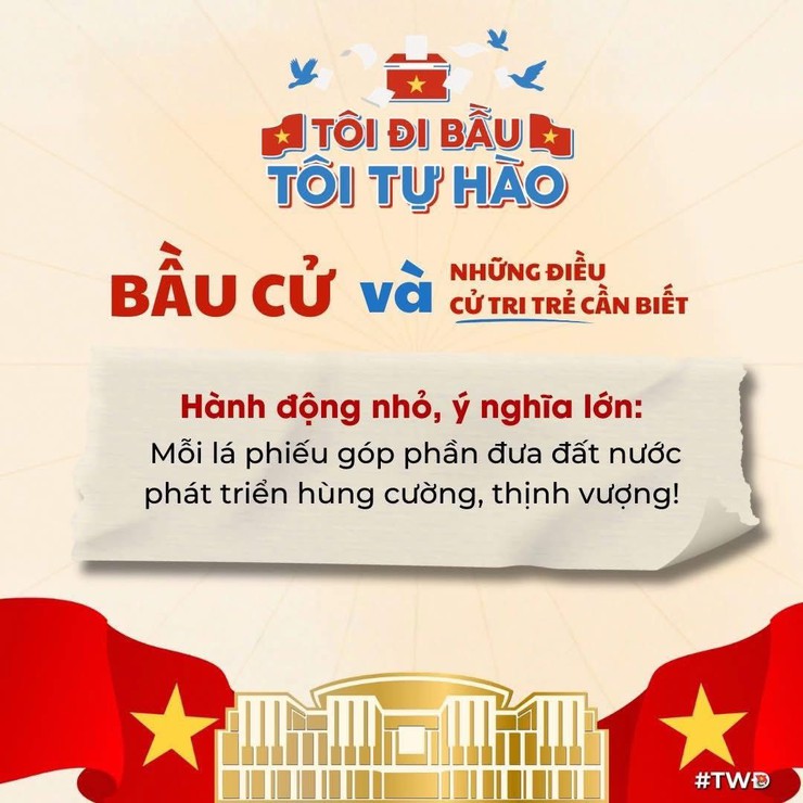 BẦU CỬ VÀ NHỮNG ĐIỀU CỬ TRI TRẺ CẦN BIẾT- Ảnh 1.