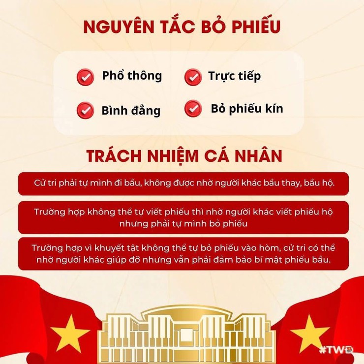 BẦU CỬ VÀ NHỮNG ĐIỀU CỬ TRI TRẺ CẦN BIẾT- Ảnh 6.