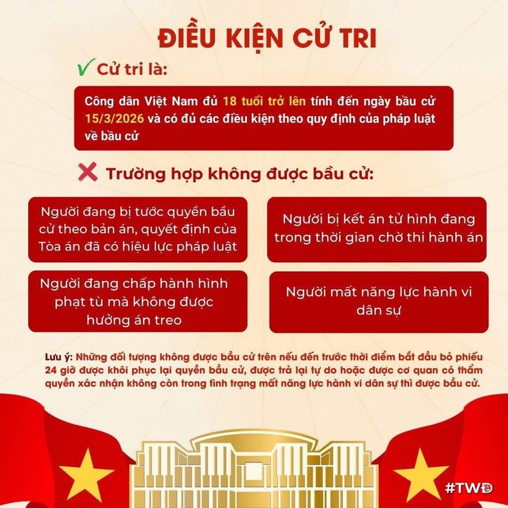 BẦU CỬ VÀ NHỮNG ĐIỀU CỬ TRI TRẺ CẦN BIẾT- Ảnh 7.