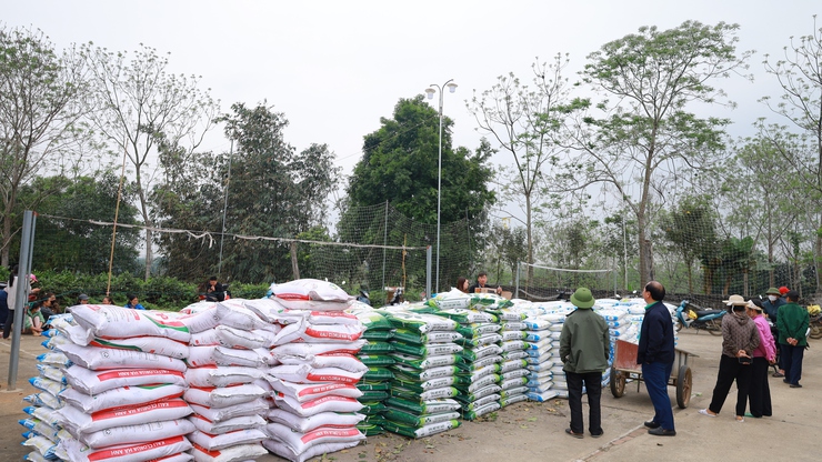 Xã Suối Hai tổ chức cấp phát vật tư nông nghiệp cho các hộ dân tham gia mô hình sản xuất chè theo tiêu chuẩn VietGAP tại thôn 3.- Ảnh 2.