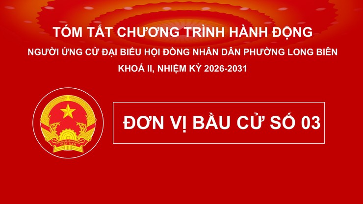 Tổng hợp tóm tắt chương trình hành động của các ứng cử viên đại biểu HĐND phường Long Biên nhiệm kỳ 2026 - 2031- Ảnh 16.