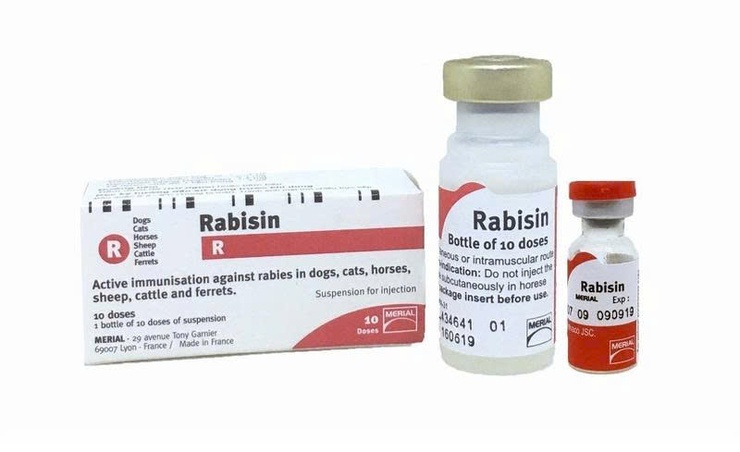 PHÒNG CHỐNG BỆNH DẠI- Ảnh 3.