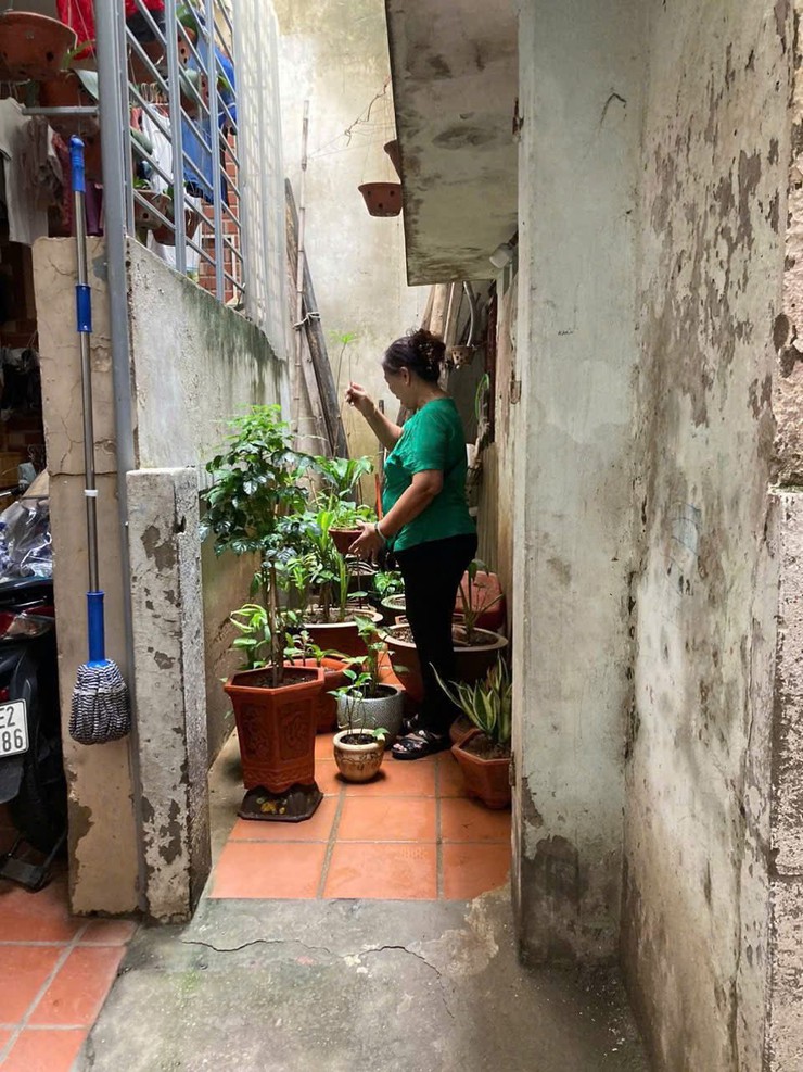 Chủ động phòng chống dịch bệnh - đảm bảo an toàn y tế phục vụ công tác bầu cử năm 2026- Ảnh 3.