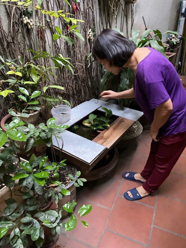 Chủ động phòng chống dịch bệnh - đảm bảo an toàn y tế phục vụ công tác bầu cử năm 2026- Ảnh 4.