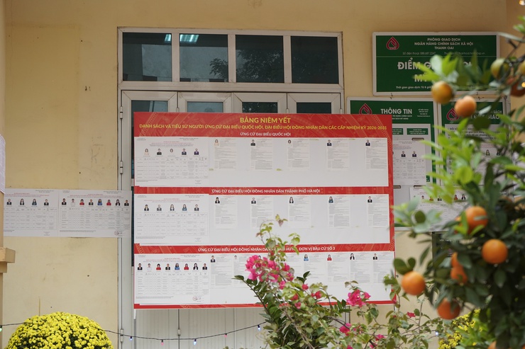 Tam Hưng sẵn sàng cho Ngày bầu cử 15/3- Ảnh 4.