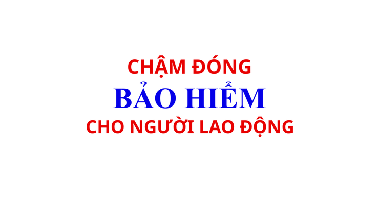 Phường Thanh Xuân: DANH SÁCH ĐƠN VỊ SỬ DỤNG LAO ĐỘNG CHẬM ĐÓNG BHXH, BHYT, BHTN, BHTNLĐ-BNN TỪ 02 THÁNG TRỞ LÊN- Ảnh 1.