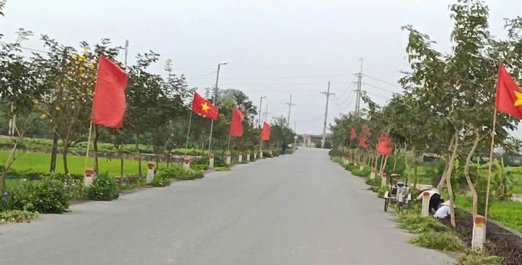 XÃ ỨNG HÒA RA QUÂN TỔNG VỆ SINH MÔI TRƯỜNG CHÀO MỪNG NGÀY HỘI LỚN CỦA TOÀN DÂN- Ảnh 6.